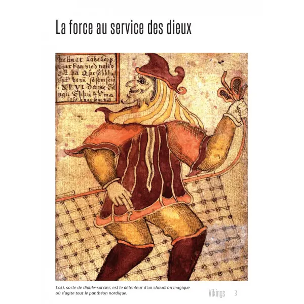 grande-saga-des-vikings-de-glace-et-de-feu-christophe-rouet-editions-de-boreeH.webp