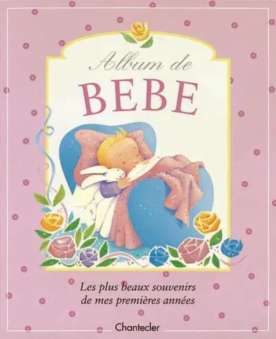 livre album photos : Album De Bebe rose. Les Plus Beaux Souvenirs De Mes Premieres Annees