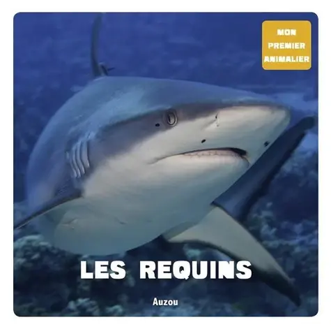 LIVRE EDUCATIF Les requins