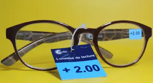 lunettes de vue GIRAFE coef: +2 , réf: L3